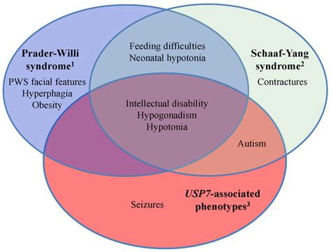 prader willi syndrome clinical trials